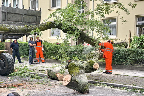 Feuerwehr_Baum   028.jpg